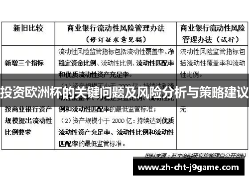 投资欧洲杯的关键问题及风险分析与策略建议