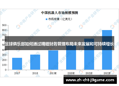 足球俱乐部如何通过精细财务管理布局未来发展和可持续增长 足球俱乐部如何通过精细财务管理布局未来发展和可持续增长
